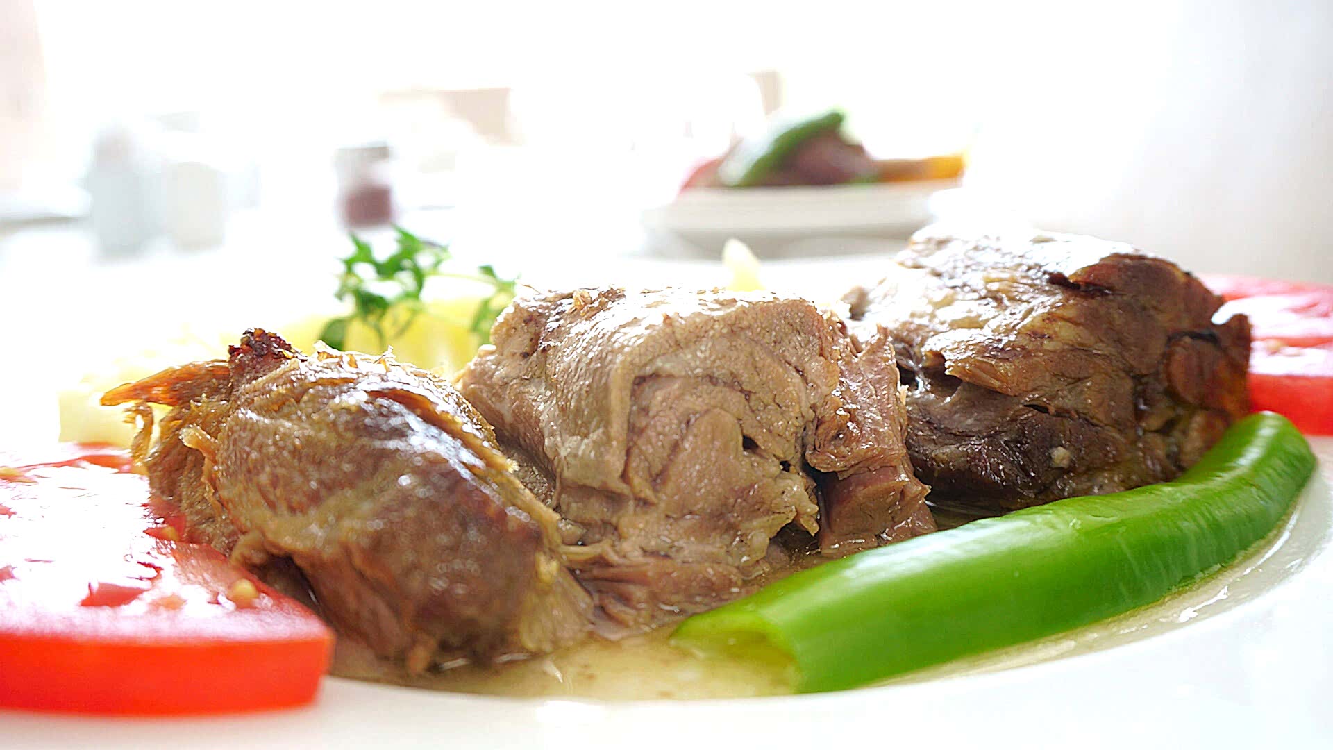 Zeytinyağlılar